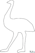 emus Coloring Pages To Print